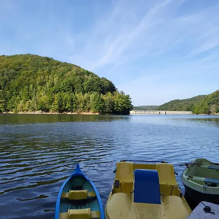 Pastelowy Daire Gluszyca