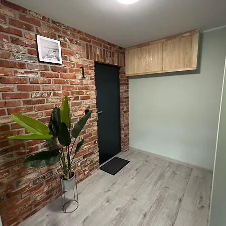 Daire Pastelowy Gluszyca