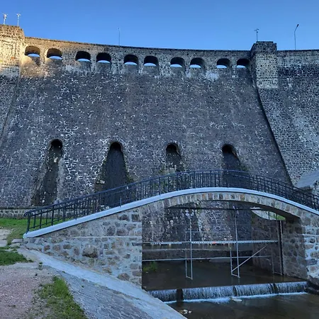 Pastelowy Daire Gluszyca