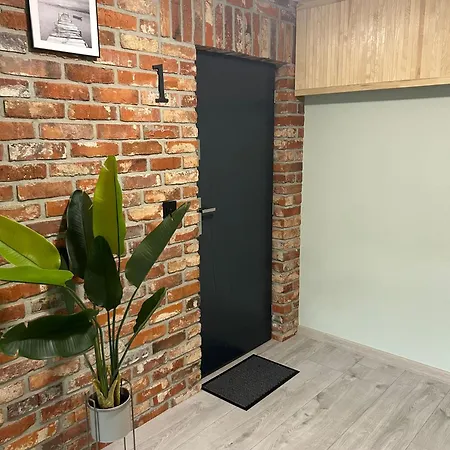 Daire Pastelowy Gluszyca