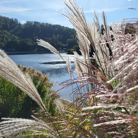 Pastelowy * Gluszyca