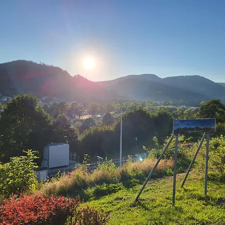 Pastelowy * Gluszyca