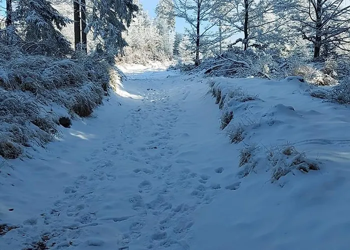 Pastelowy شقة غووشيتسا