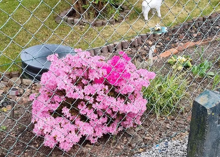 Апартаменты Pastelowy