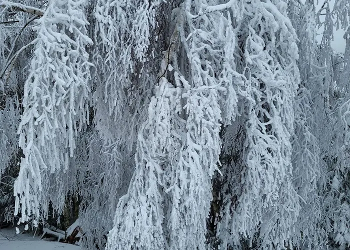 Pastelowy Апартаменты *