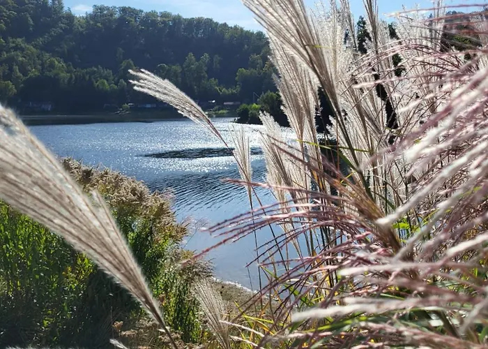 Pastelowy * Глушица